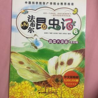 法布尔昆虫记-蔬菜大食客菜粉蝶（上）