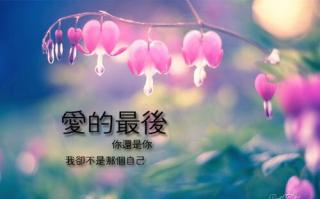 深情陪伴（文/与你相识）