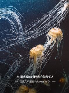 创造性思维的特点