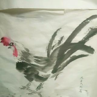 《画鸡🐔》