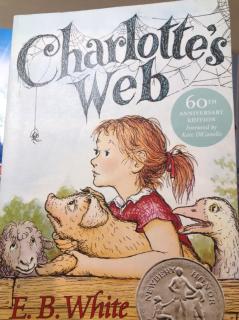 Charlotte's web5