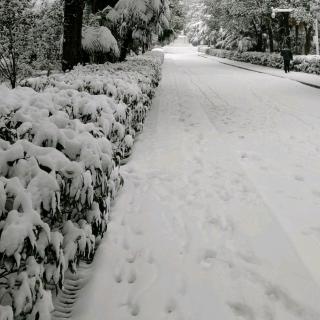 第一场雪  作者峻青