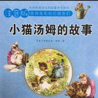 小猫汤姆的故事