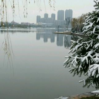 又见东湖飞雪
