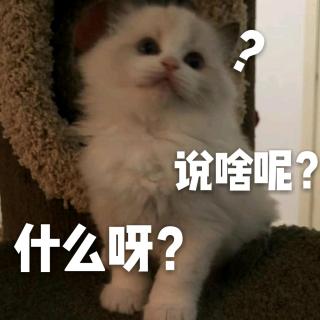 狐狸精