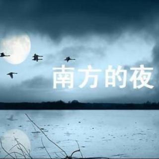 冯至：南方的夜