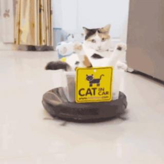 【写故事听】扫地机器人罗伯特和小猫咪莉