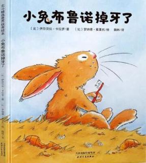 实验幼儿园绘本故事推荐第54期《小兔布鲁诺掉牙了》