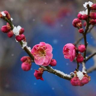 《天诛地灭》1月2日