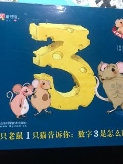 9只老鼠1只猫告诉你：数字3是怎么回事