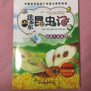 法布尔昆虫记-蔬菜大食客菜粉蝶（下）