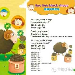 【2】baba black sheep