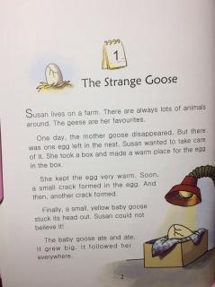 11-1 🥚The Strange Goose