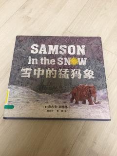 雪中的猛犸象