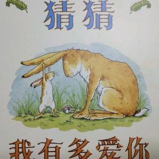 猜猜我有多爱你