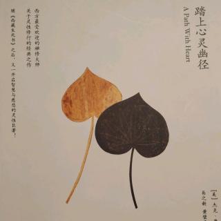 🍀《踏上心灵幽径》第3章:坐定