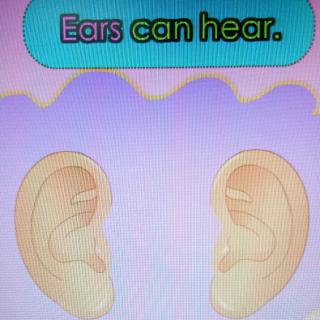 Ears can  hear.