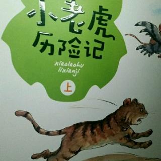 《小老虎历险记》（8）学习抓青虫和蚱蜢