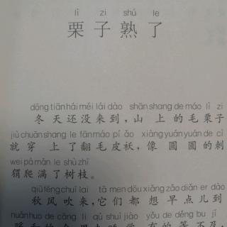 散文《栗子熟了》（作者:金波）