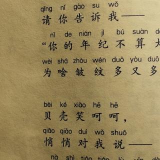 小贝壳作者王宜振