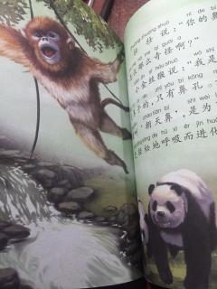 熊猫童话百科全书🐼