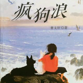 《疯狗浪》五、羊圈里的秘密