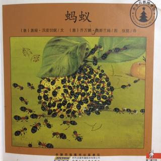 小小自然图书馆-蚂蚁🐜