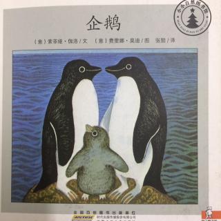 小小自然图书馆-企鹅🐧