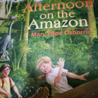 Afternoon On The Amazon(8)