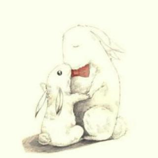 《大兔子和小兔子》第五晚