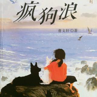 《疯狗浪》六、黄毛三根