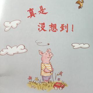 《真是没想到！》主播：姗姗姐姐