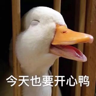 圈子不同，是否强融？