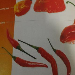 The hottest Chilies