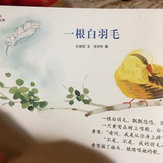 一根白羽毛