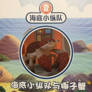 海底小纵队与椰子蟹