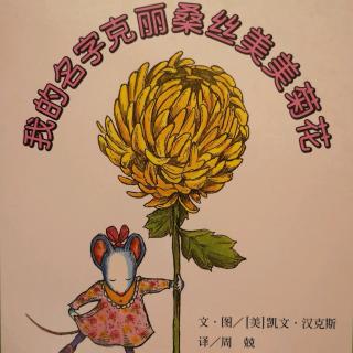 我的名字克里桑丝美美菊花