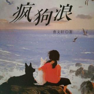 《疯狗浪》七、沙丘上的狼脸