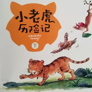 《小老虎历险记》（3）把坏蛋们赶出森林