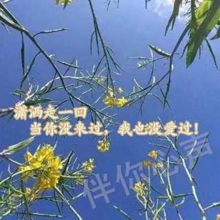 潇洒走一回，当你没来过，我也没爱过