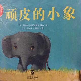 顽皮的小象🐘