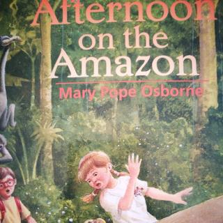 Afternoon On The Amazon(10)