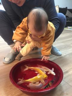 绘本《逃家小兔》