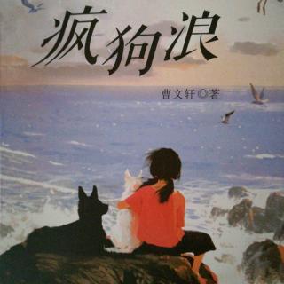 《疯狗浪》九、光秃秃的小山