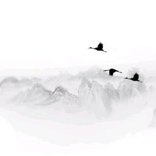 【出山】在线收听_粥天子_荔枝