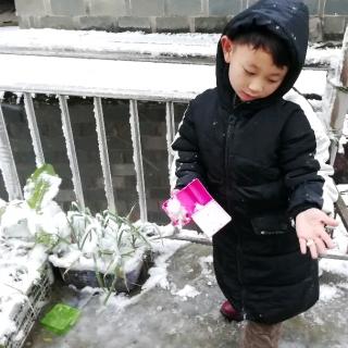 信江韵微诗《吻雪》