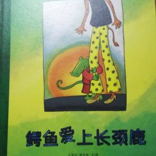 《鳄鱼爱上长颈鹿》（麦田精选大师典藏图画书）