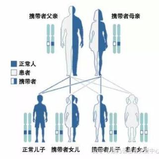 健康生活--癫痫会遗传吗