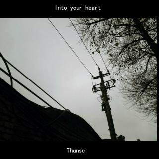 Into your heart - Thunse