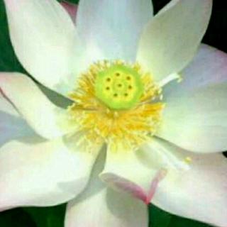 2019.1.10《了凡四训》复讲10